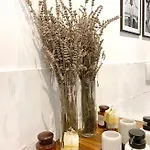 Διαμέρισμα Salt